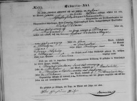 Geburtsregistereintrag Caroline Blum 07.06.1868 Illingen