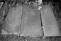 Gräber von Alfred Abel, seiner Frau Monika geb. Maubach, und von Dagobert Abel auf dem Friedhof Neue Bremm nebeneinander. 